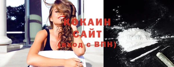 прущие грибы Семикаракорск