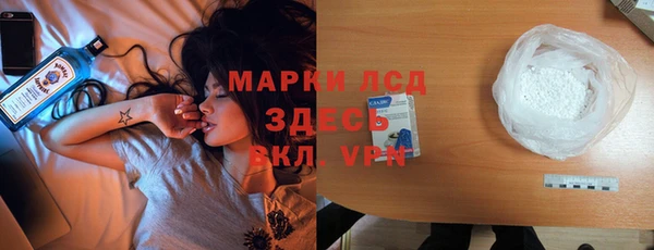 прущие грибы Семикаракорск