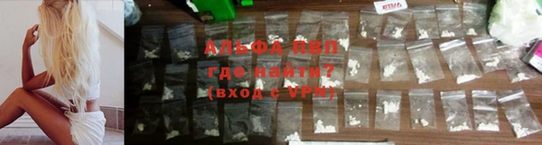 прущие грибы Семикаракорск