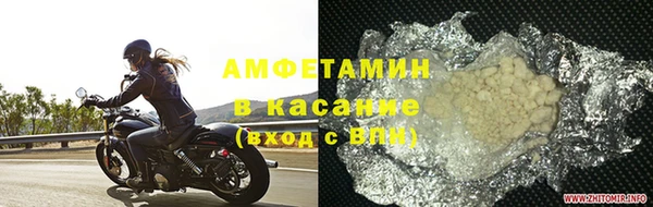 прущие грибы Семикаракорск
