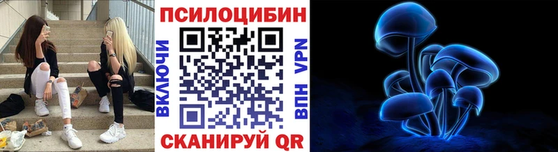 Галлюциногенные грибы Psilocybe Псков