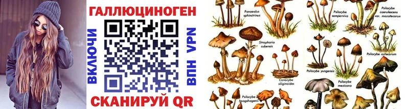 Псилоцибиновые грибы Psilocybe  где найти наркотики  Псков 