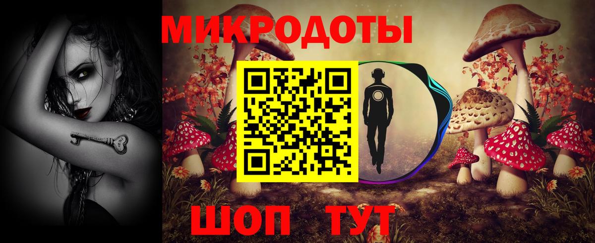 Псков  Псилоцибиновые грибы мицелий  Вход с VPN  купить закладку  Галлюциногенные грибы Psilocybe 